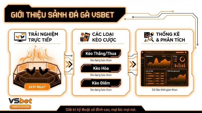 da-ga-vsbet-dinh-cao-ca-cuoc-va-giai-tri-truc-tuyen